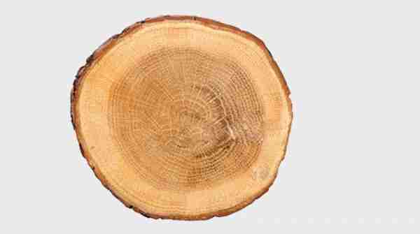 https://xn--hfler-kreimer-imb.at/tischlerei/data/image/thumpnail/image.php?image=187/hoefler_tischlerei_article_3460_0.jpg&width=600